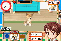 Kawaii Pet Game Gallery