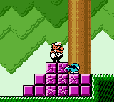 Wario Land 3