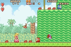 Super Mario Advance: In Game