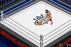 Fire Pro Wrestling