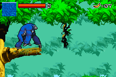 Kong - The Animated Series