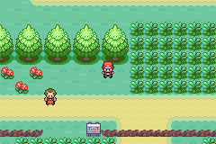 Pokemon - FireRed Version: In Game