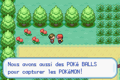 Pokemon - FireRed Version: In Game