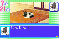 Kawaii Pet Game Gallery 2: In Game