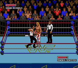 WWF Super Wrestlemania