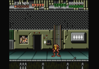 Battletoads and Double Dragon: In Game